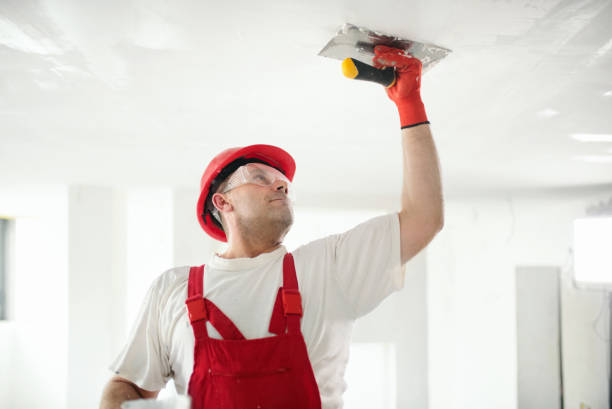 Best Water-Damaged Drywall Repair  in Mount Vernon, KY